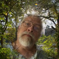 bill connelly