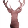 ColdDeer23