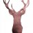 ColdDeer23